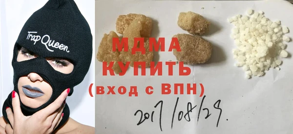 хмурый Аркадак