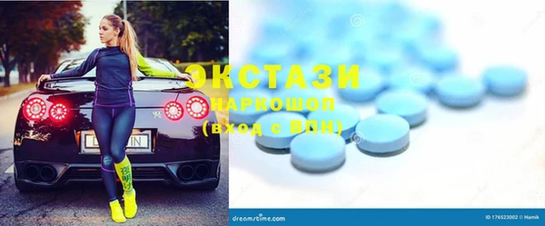 хмурый Аркадак