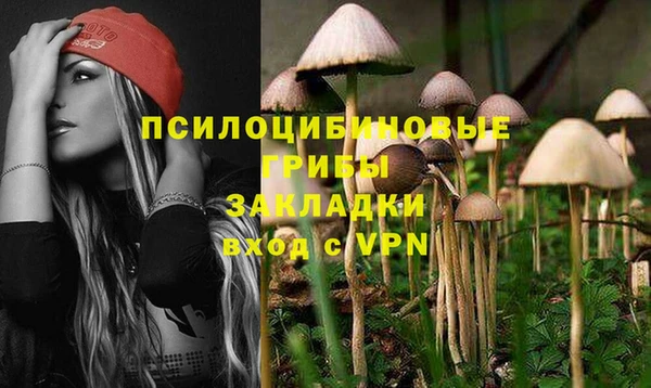 гидропоника Армянск