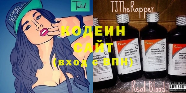 хмурый Аркадак