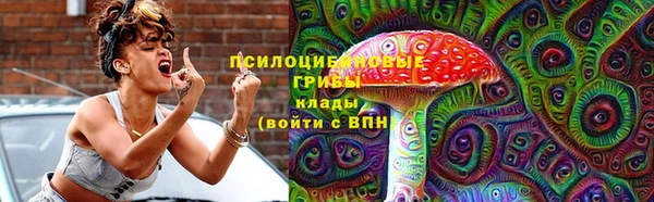 хмурый Аркадак