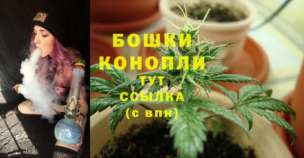гидропоника Армянск