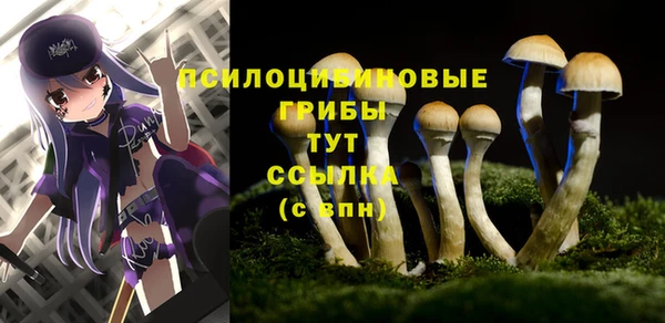 гидропоника Армянск