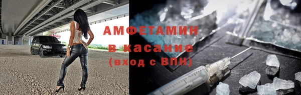 хмурый Аркадак