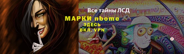 хмурый Аркадак