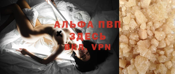 хмурый Аркадак
