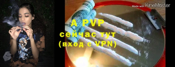 хмурый Аркадак