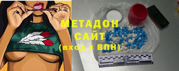 хмурый Аркадак