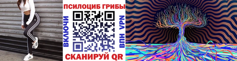 Галлюциногенные грибы Cubensis  Сухой Лог 